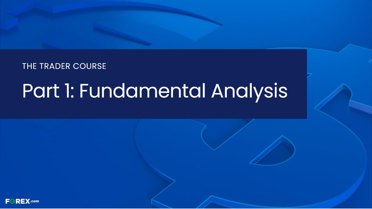 The Trader Course: Part 1 – Fundamental Analysis