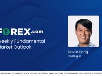 Weekly-Fundamental-Market-Outlook-with-David-Song-3272024