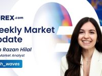 EURUSD-DXY-Bitcoin-Analysis-Post-Elections-and-Pre-CPI-by-Razan-Hilal-CMT-12112024