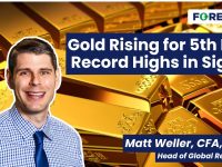 Gold-is-Rallying-for-a-5th-Straight-Day-to-Test-2700-Where-Next-Daily-Market-Update-Nov-22-2024