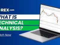 Technical-Analysis-on-MetaTrader-5-FOREX.com