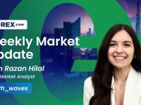 Bitcoin-Gold-Analysis-Ceasefire-Holidays-and-US-Data-by-Razan-Hilal-CMT-27112024